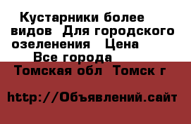 Кустарники более 100 видов. Для городского озеленения › Цена ­ 70 - Все города  »    . Томская обл.,Томск г.